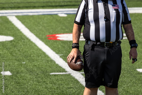 Football Referee on the field