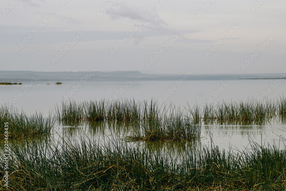 Landscape with lake and sky, Lake Eleemtaita, Naivasha, Kenya Landscape with lake and sky, Lake Eleemtaita, Naivasha, Kenya