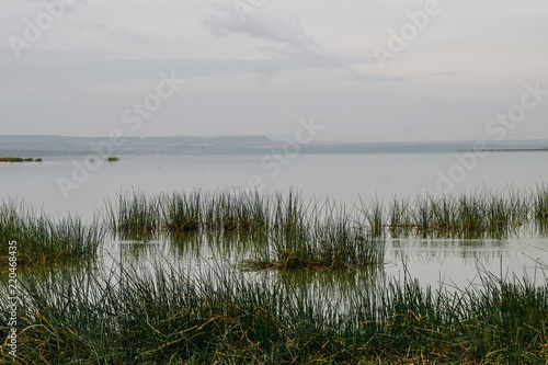 Landscape with lake and sky  Lake Eleemtaita  Naivasha  Kenya