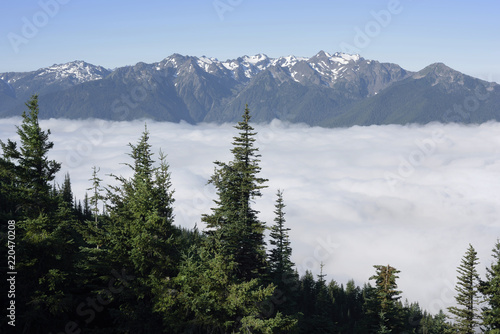 The Bailey Range and Low Clouds over the Elwha Valley,  Olympic National Park, Washington photo