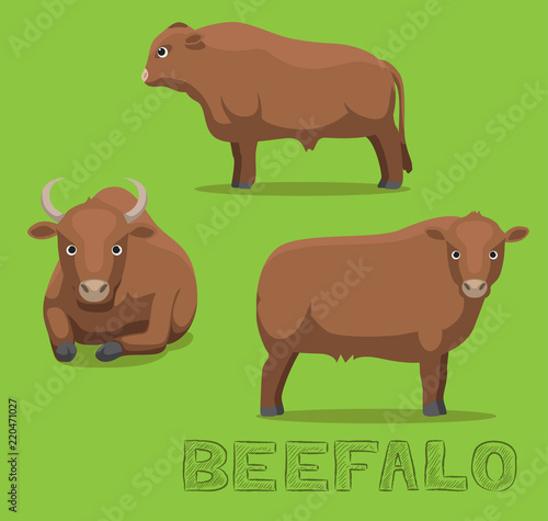 Cow Beefalo Cartoon Vector Illustration photo