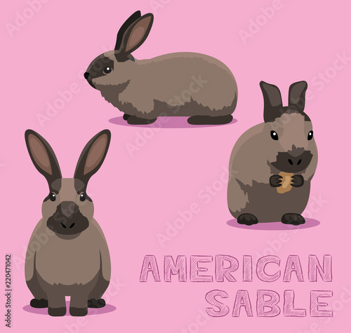 Rabbit American Sable Cartoon Vector Illustration