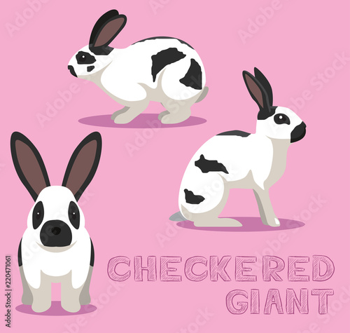 Rabbit Checkered Giant Cartoon Vector Illustration