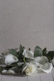 mockup white rose on wood