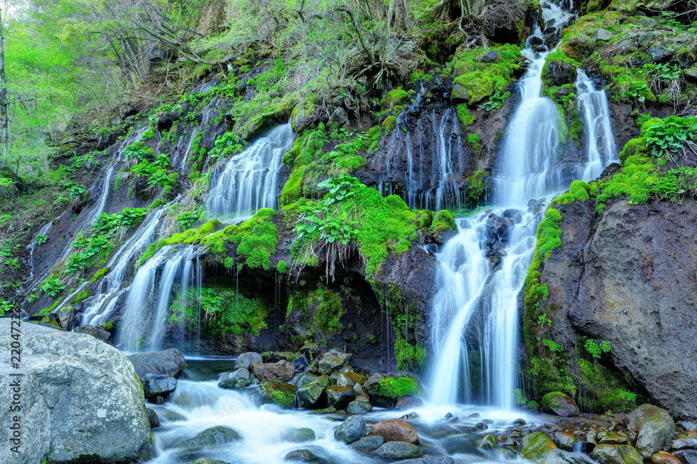 Fototapeta premium 新緑の吐竜の滝