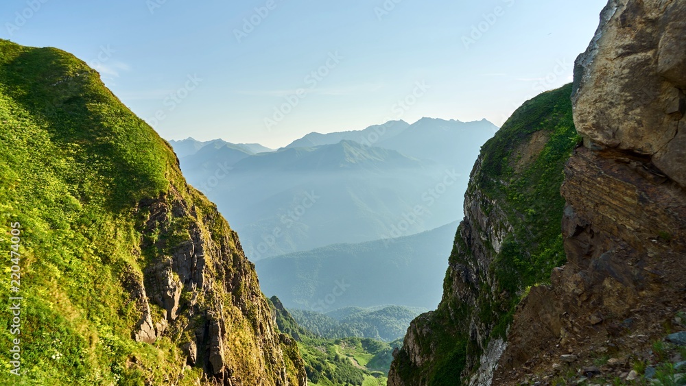 Fototapeta premium Beautiful green ravine in mountains of Sochi
