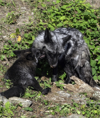 Cuddling with Mom