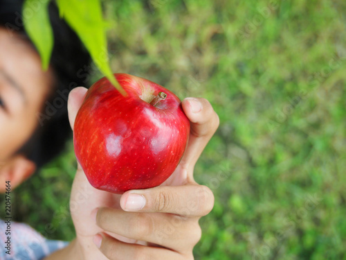 The hands of a teenage boy picking red apple at the tree in the harvest season, agricultural production