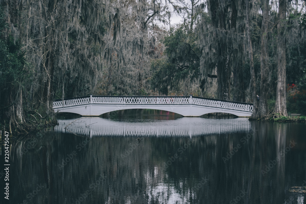 Bridge