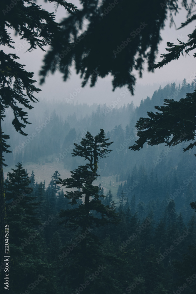 Oregon Coast