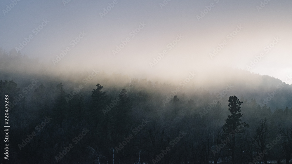 Fog