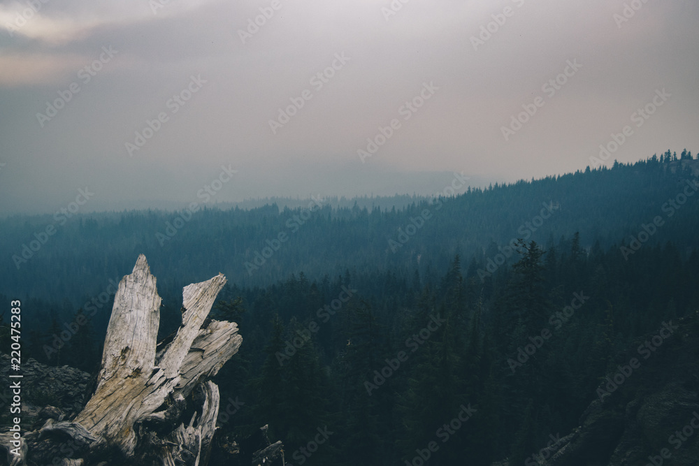 Oregon Coast