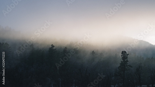 Obraz na płótnie Fog w salonie