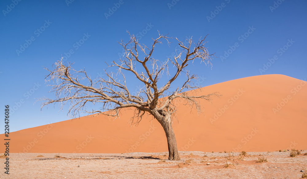 Namibian Desert Landscape