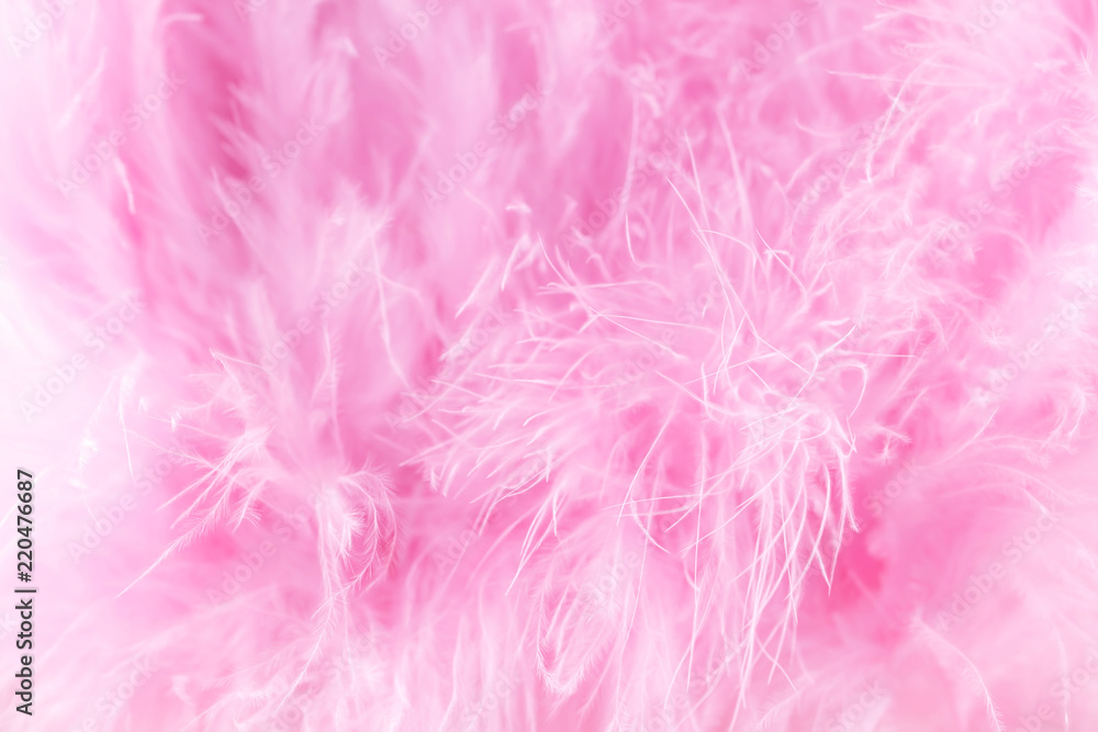 Macro shot of pink bird fluffy feathers in soft and blur style