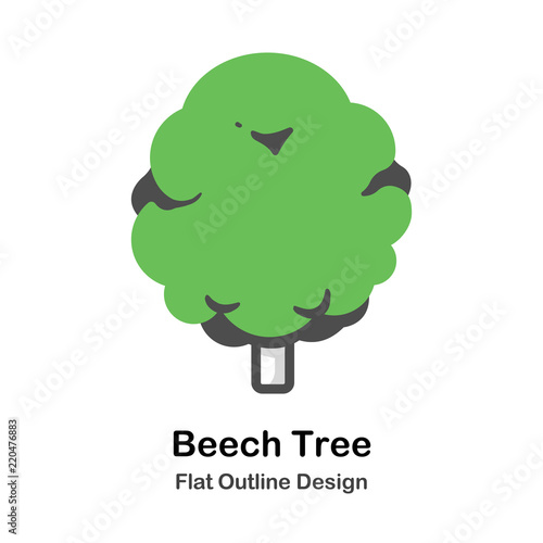 Beech tree Outline Flat illustration