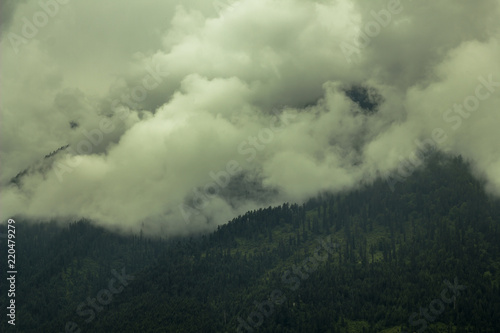 heavy cloud and fog in the mountain forest