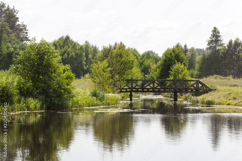 Fototapeta premium summer landscape with bridge