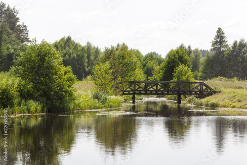 summer landscape with bridge