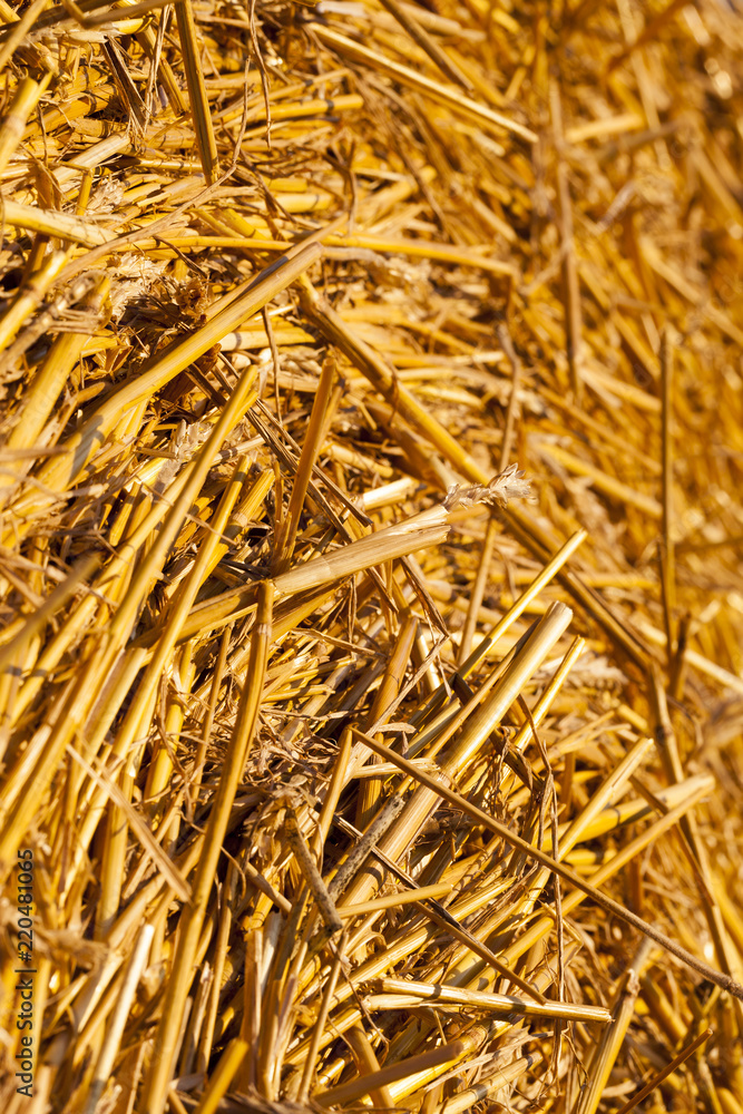 details of straw