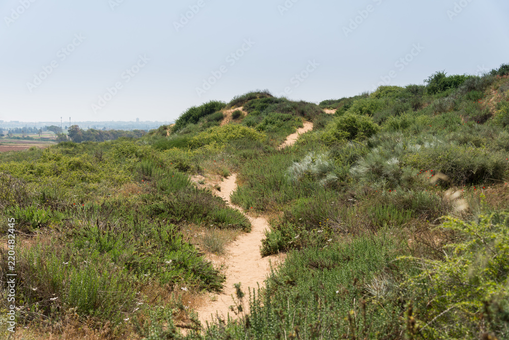 At Sharon Beach National Park, Sharon area