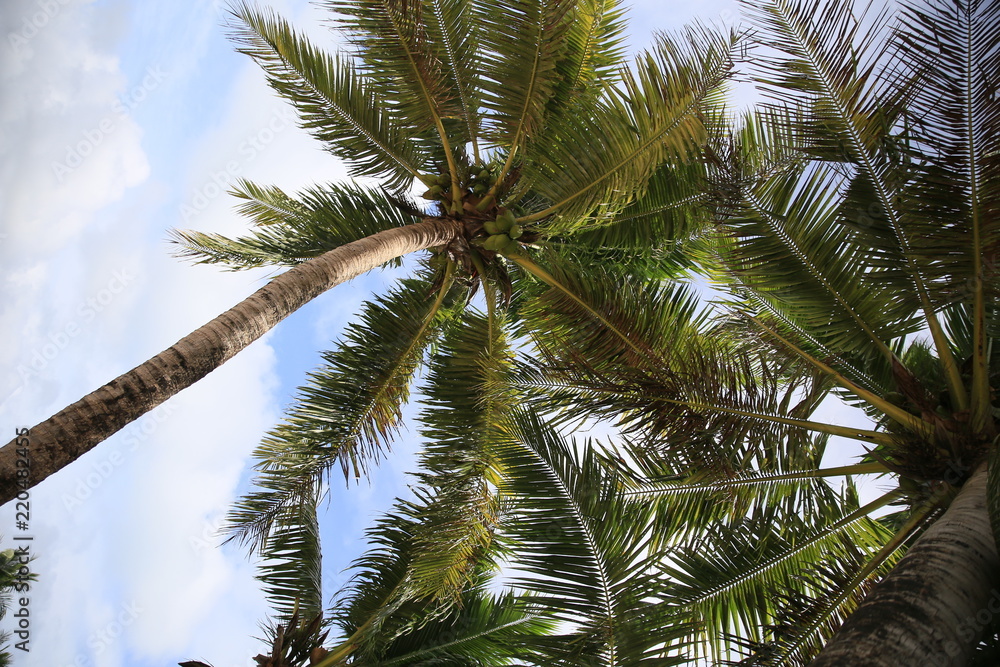 Obraz premium Cocos Island, Guam