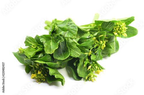Bunch of floral choy sum green vegetable