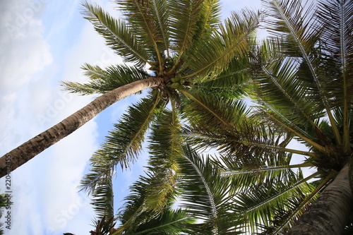 Cocos Island, Guam