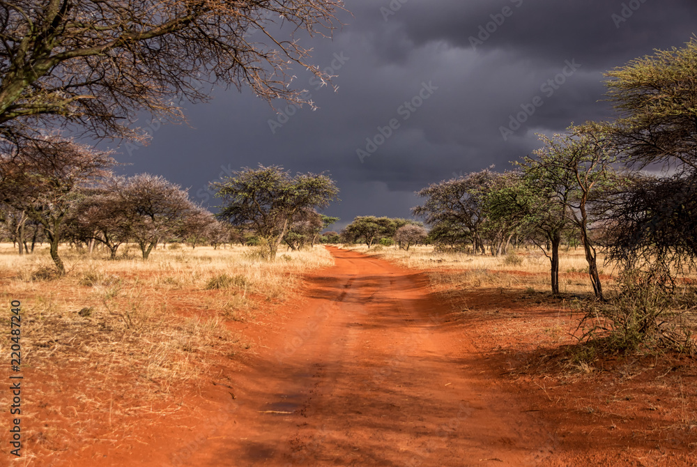 Fototapeta premium Stormy Landscape