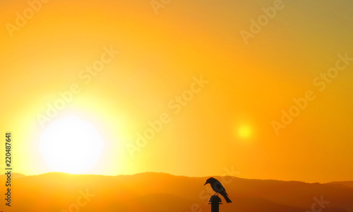 Fototapeta Naklejka Na Ścianę i Meble -  Sunset in Hamilton Island, Queensland, Australia
