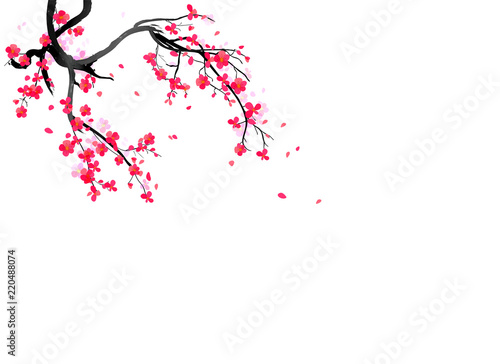 Watercolor sakura frame. Background with blossom cherry tree branches. Hand drawn japanese flowers background