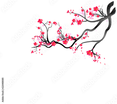 Watercolor sakura frame. Background with blossom cherry tree branches. Hand drawn japanese flowers background