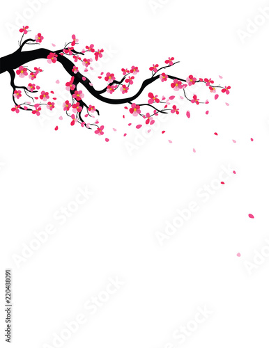 Watercolor sakura frame. Background with blossom cherry tree branches. Hand drawn japanese flowers background