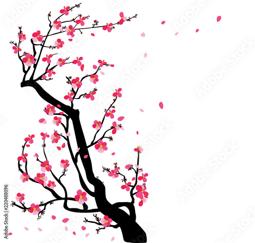 Watercolor sakura frame. Background with blossom cherry tree branches. Hand drawn japanese flowers background