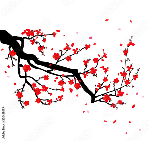 Watercolor sakura frame. Background with blossom cherry tree branches. Hand drawn japanese flowers background