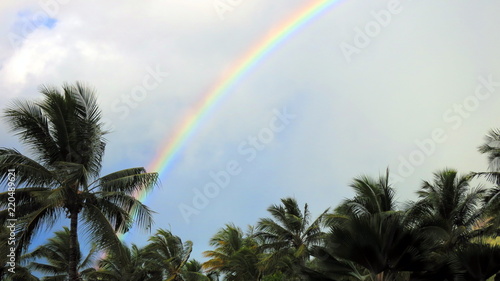 Rainbow in Whitsundays Island  Queensland  Australia