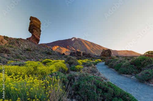 View of unique Roques de Garcia unique rock formation with famous Pico del Teide mountain volcano summit in the background on a sunny morning. Teide National Park, Tenerife, Canary Islands, Spain.