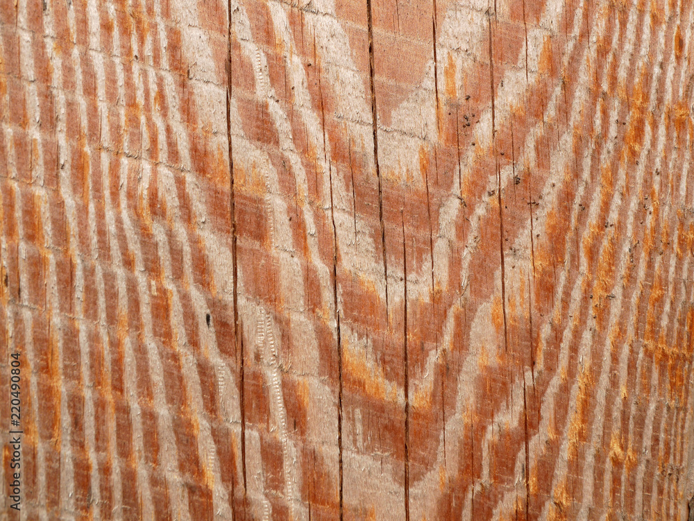 Naklejka premium wood texture background surface with old natural pattern