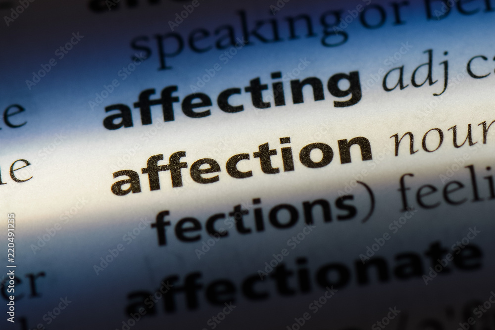 Obraz premium affection