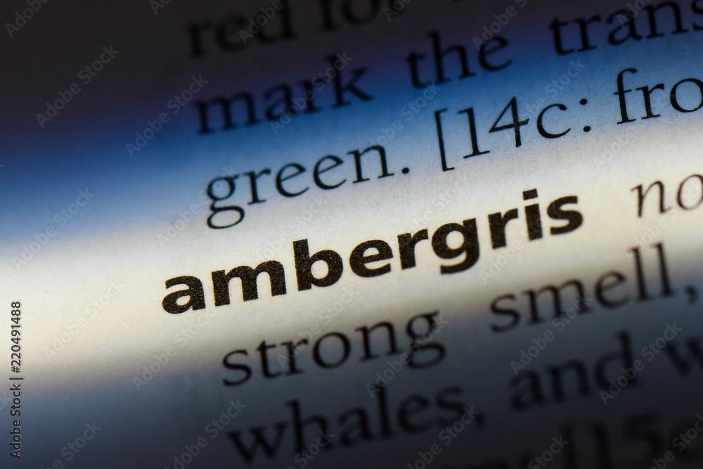 Obraz premium ambergris