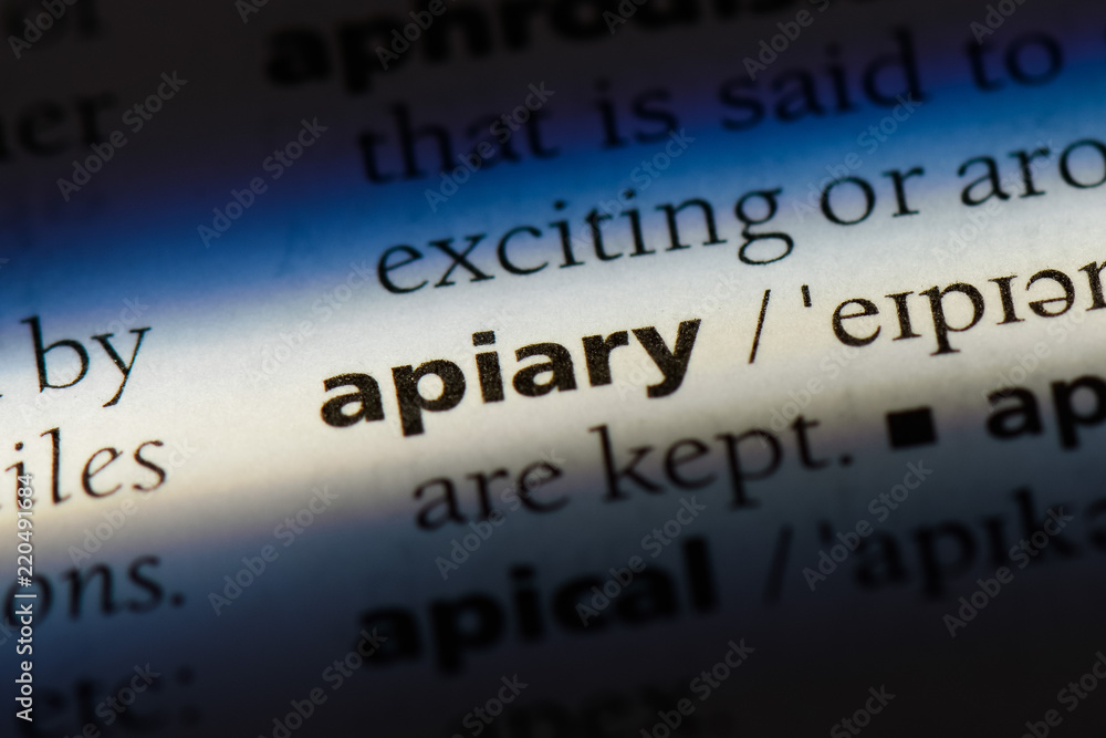 Obraz premium apiary