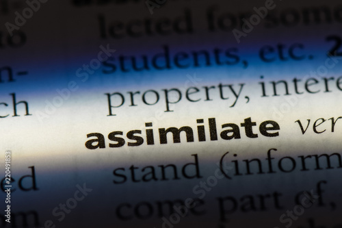 assimilate