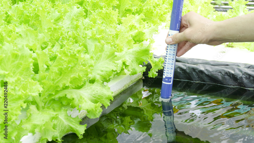 Digital pH meter tester Hydroponics Controllers pH Pens, pH Tests