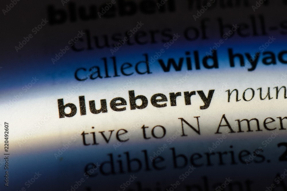 Obraz premium blueberry