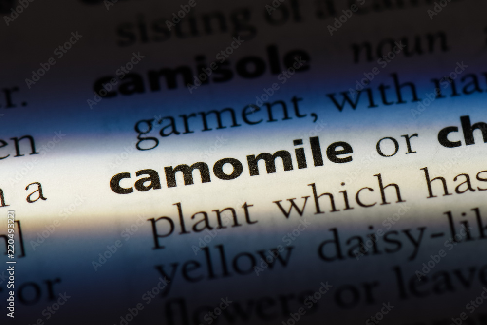 camomile