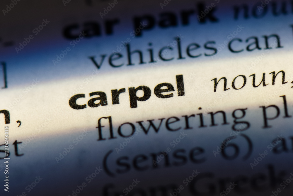 Obraz premium carpel