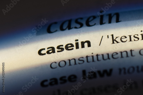  casein