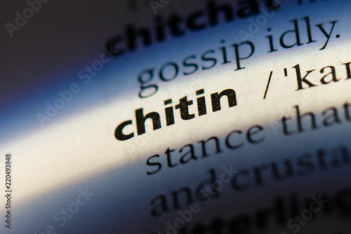  chitin photo