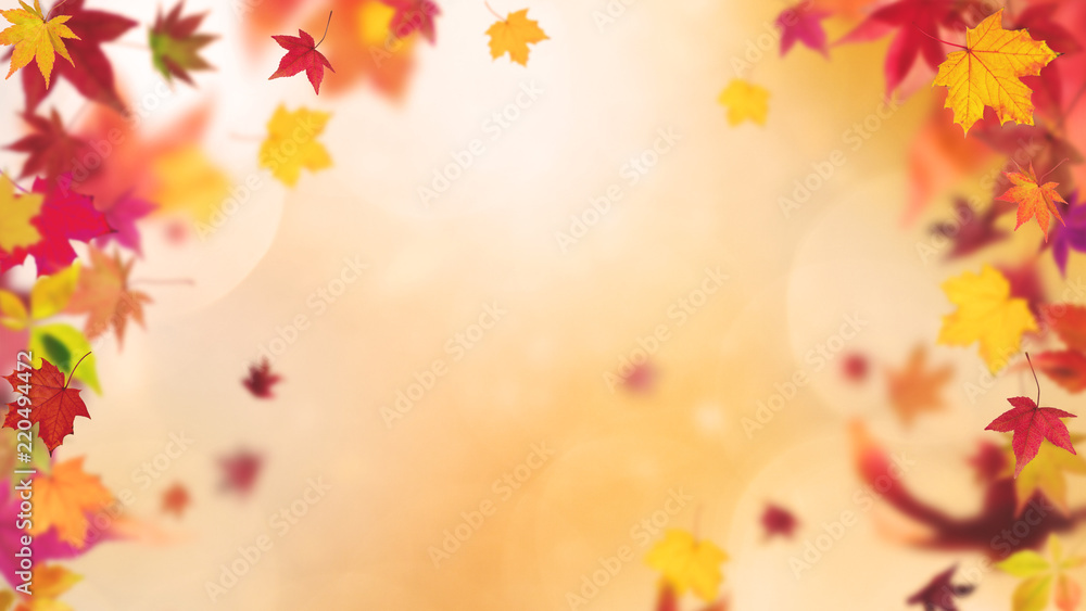 Autumn backround, autumn leafs in different fall colors with copy space Autumn backround, autumn leafs in different fall colors with copy space
