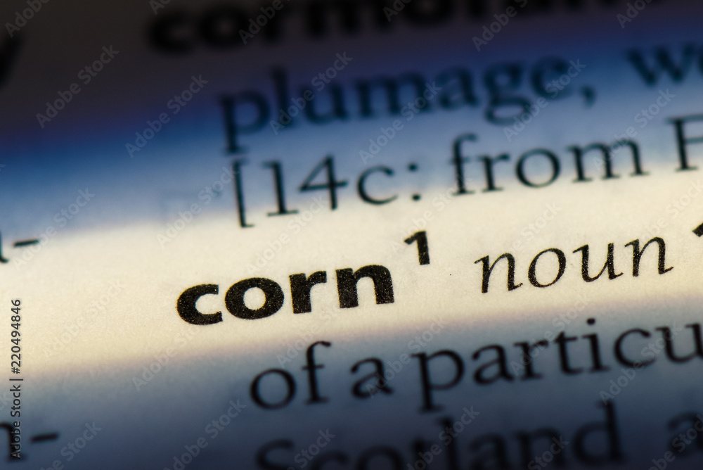  corn